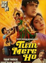 Tum Mere Ho (1990) izle