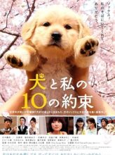 10 Promises to My Dog (2008) izle