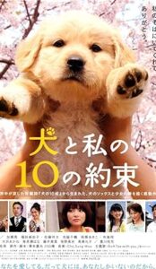 10 Promises to My Dog (2008) izle