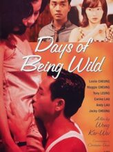 Days of Being Wild (1990) izle