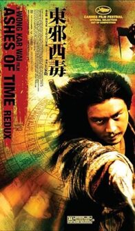 Ashes of Time (1994) izle