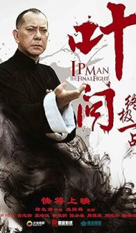 Ip Man: The Final Fight (2013) izle