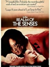 In the Realm of the Senses (1976) izle