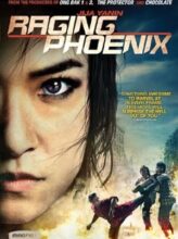 Raging Phoenix (2009) izle