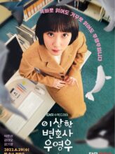 Extraordinary Attorney Woo (2022) izle