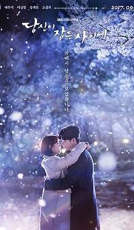 While You Were Sleeping (2017) izle