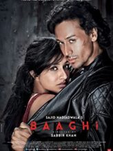 Baaghi (2016) izle