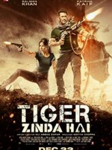 Tiger Zinda Hai (2017) izle