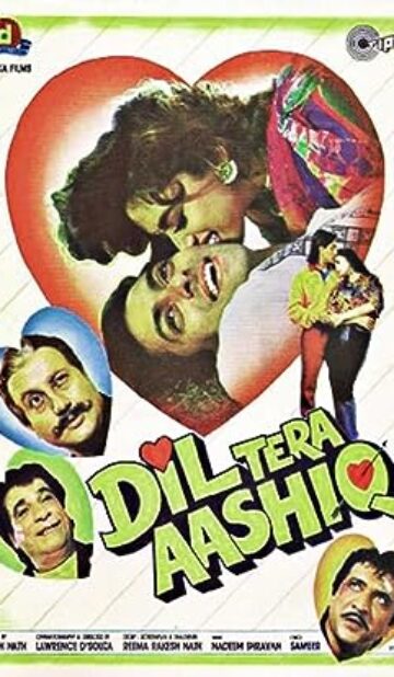 Dil Tera Aashiq (1993) izle