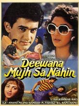 Deewana Mujh Sa Nahin (1990) izle