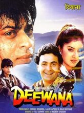 Deewana (1992) izle