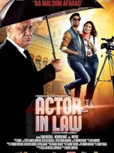 Actor in Law (2016) izle