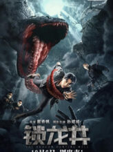 The Dragon Hunting Well (2020) izle