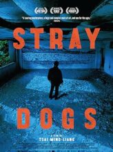 Stray Dogs (2013) izle