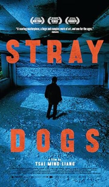Stray Dogs (2013) izle