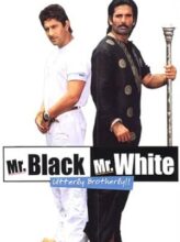 Mr. White Mr. Black (2008) izle