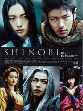 Shinobi: Heart Under Blade (2005) izle