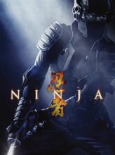 Ninja (2009) izle