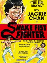 Snake Fist Fighter (1973) izle