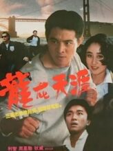 Dragon Fight (1989) izle